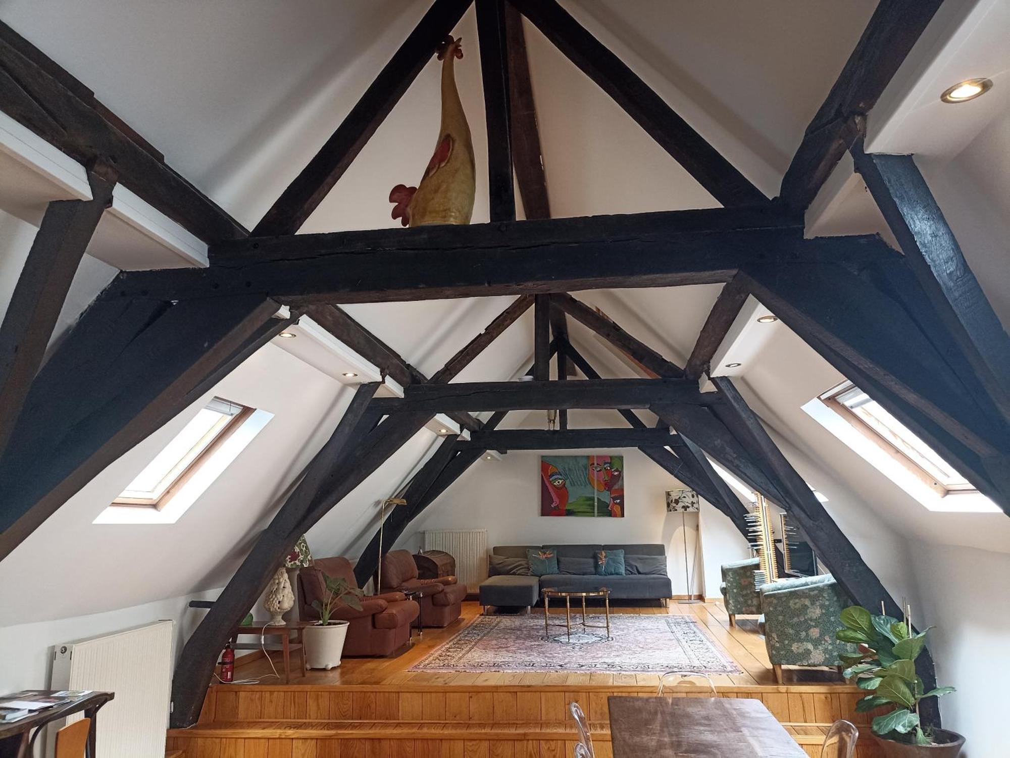 Spacious Duplex In Brussels Historical Center Kültér fotó