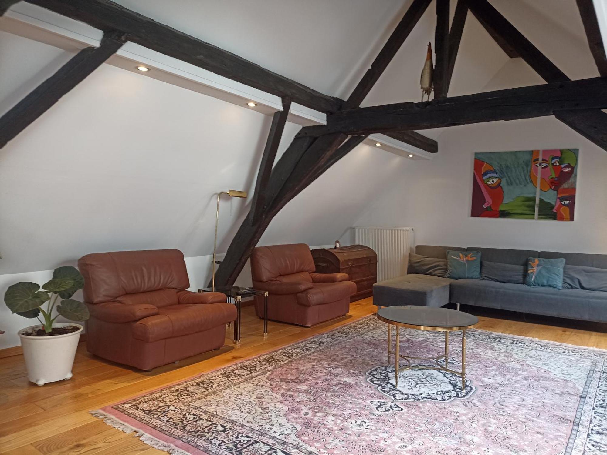 Spacious Duplex In Brussels Historical Center Kültér fotó
